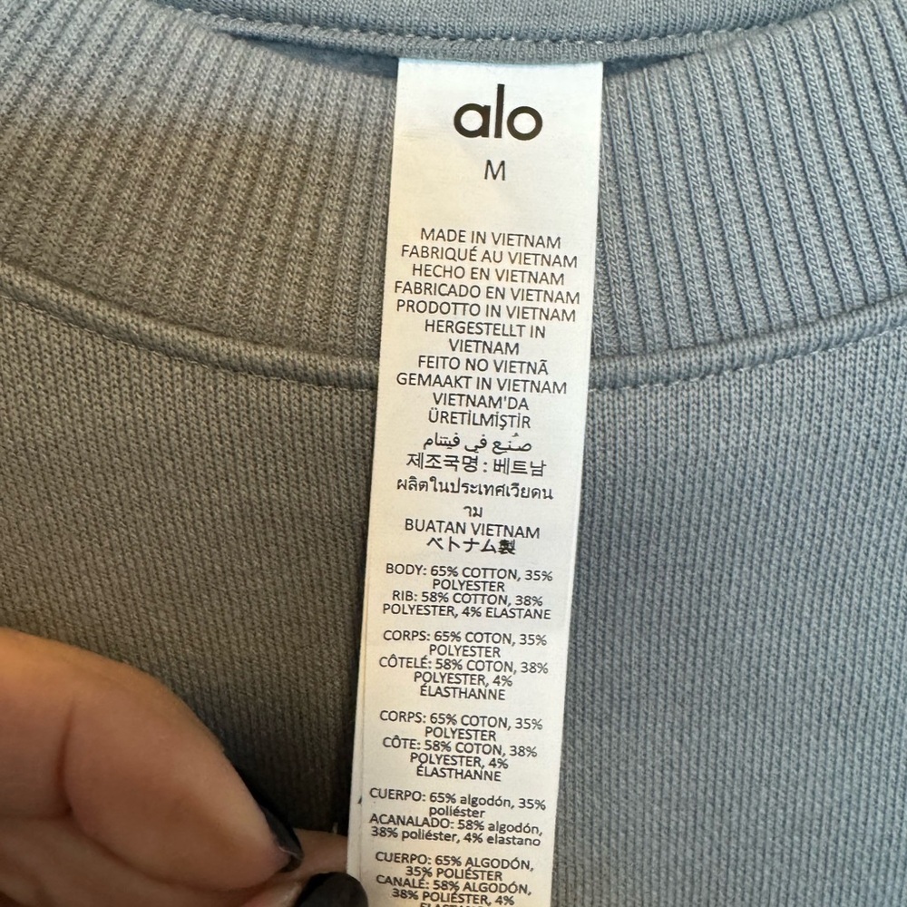 ALO Yoga Lunar Gray Cropped Hoodie NWT Size Medium - Picture 6 of 10